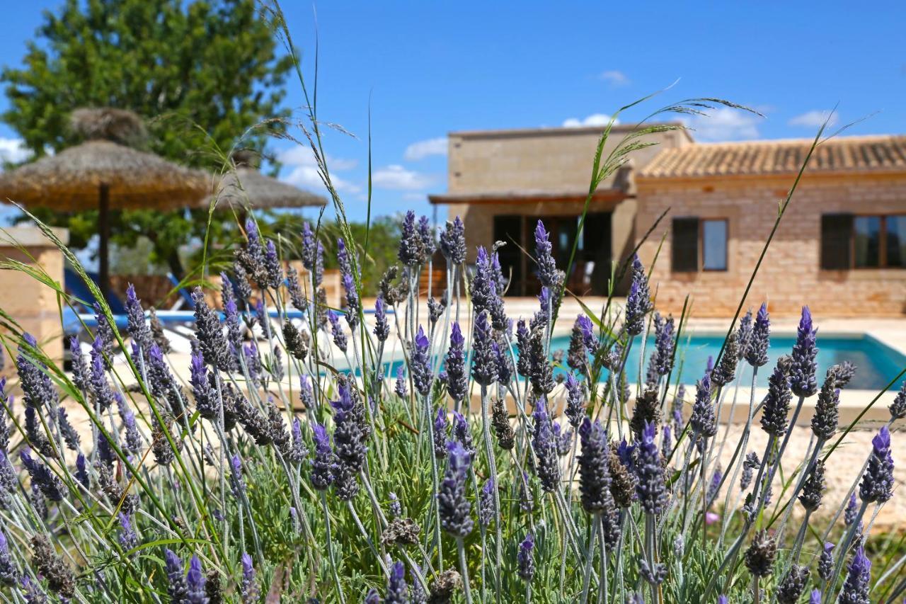 Finca Tiana Ses Salines  Εξωτερικό φωτογραφία
