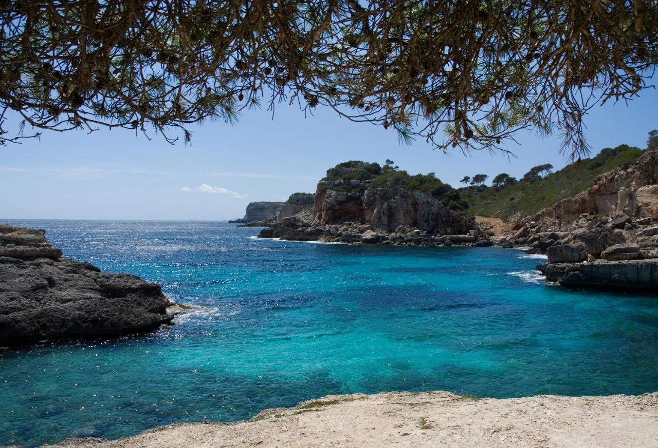 Finca Tiana Ses Salines  Εξωτερικό φωτογραφία
