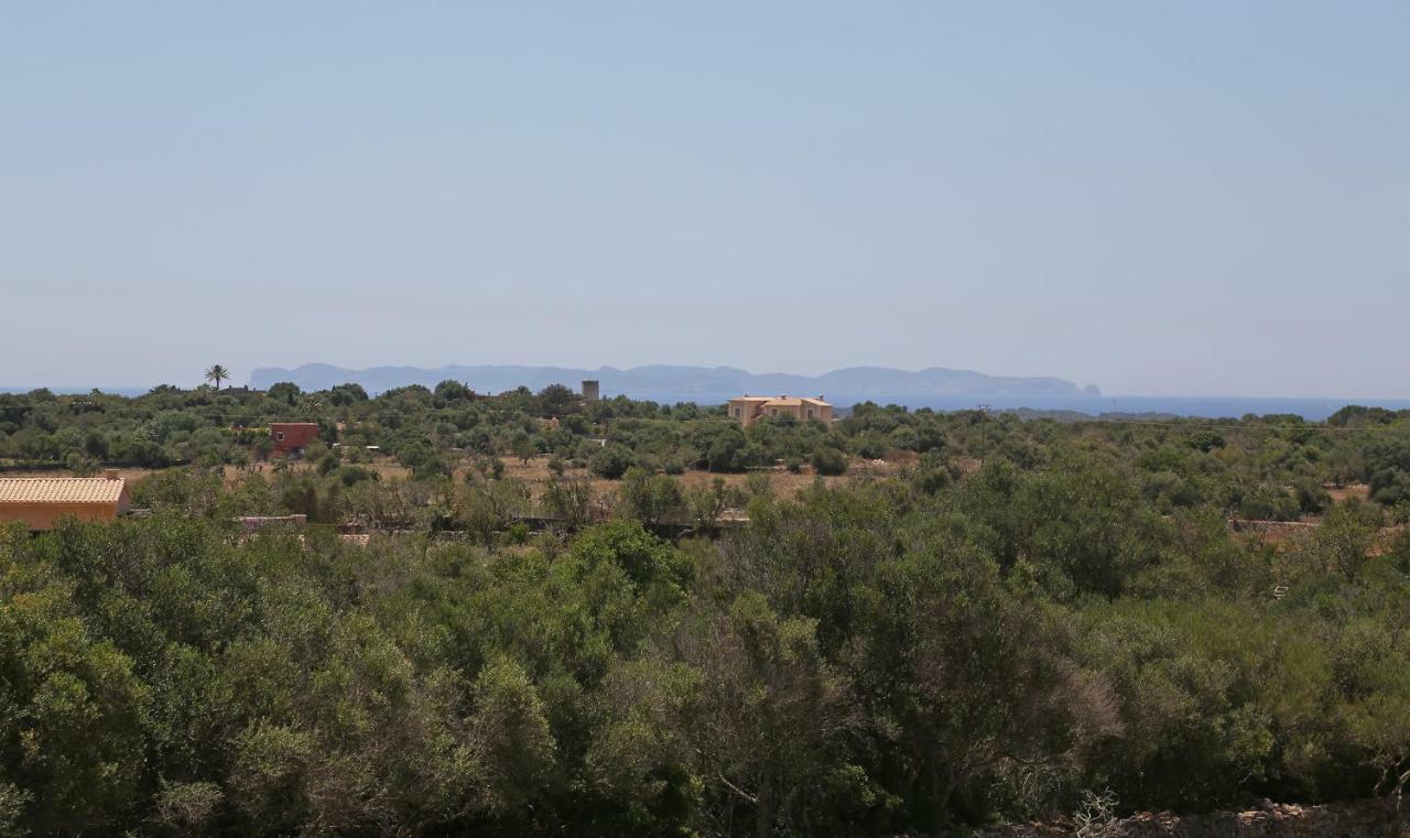 Finca Tiana Ses Salines  Εξωτερικό φωτογραφία
